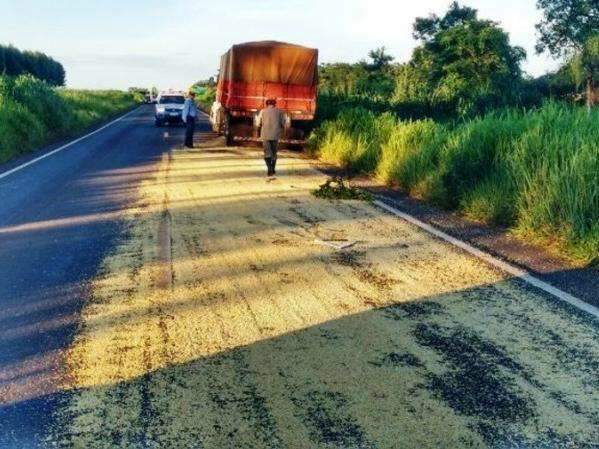 Carregamento de soja cai e interdita MS-267 ap&oacute;s pneu de carreta estourar