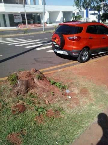 Motoristas estacionam sobre faixa de pedestre perto de shopping da Capital