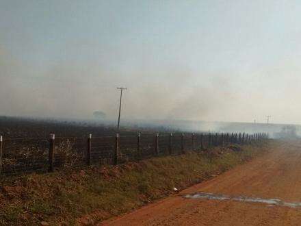 Bombeiros controlam inc&ecirc;ndio em &aacute;rea de 100 hectares na regi&atilde;o de fronteira