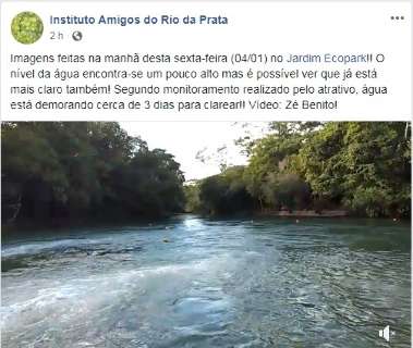 Em alta temporada, Rio da Prata volta a ficar turvo e impede mergulhos