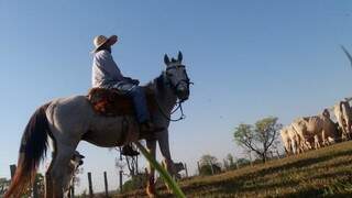 Alécio em seu cavalo, o &quot;companheiro de trabalho&quot; na lida com o gado (Foto: Osvaldo Júnior)