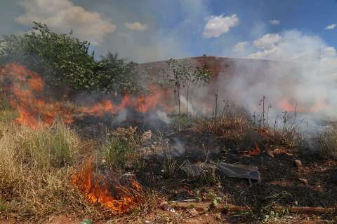 Número de incêndios em vegetação já está 18% maior este ano na Capital