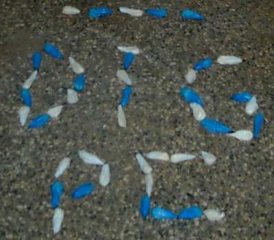  Adolescentes s&atilde;o flagrados com 46 papelotes de coca&iacute;na em Tr&ecirc;s Lagoas