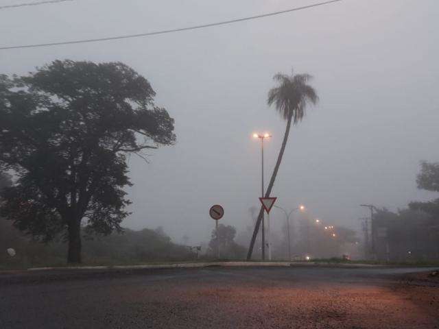 MS teve nevoeiro em oito municípios; Aral Moreira foi cidade mais fria -  Meio Ambiente - Campo Grande News