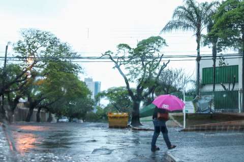 Chuva supera esperado no interior e derruba árvore na Capital