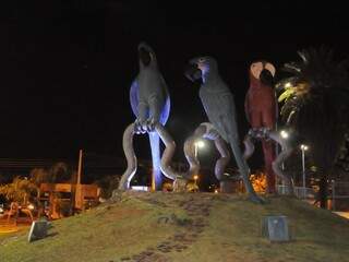 Praça das Araras tem projeto de iluminação noturna em funcionamento. (foto; Paulo Francis)