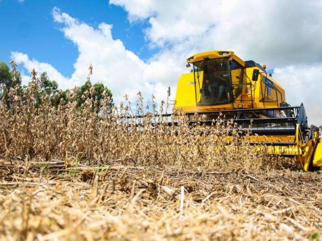 Em safra recorde, colheita j&aacute; atinge 93% da &aacute;rea plantada com soja em MS