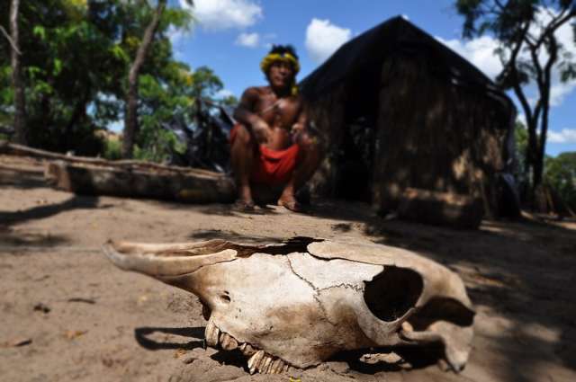 MPF pede que pol&iacute;cia federal investigue viol&ecirc;ncia contra ind&iacute;genas 