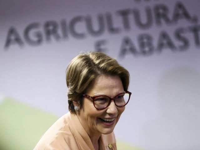 Ministra da Agricultura nega redu&ccedil;&atilde;o em demarca&ccedil;&atilde;o de terras ind&iacute;genas