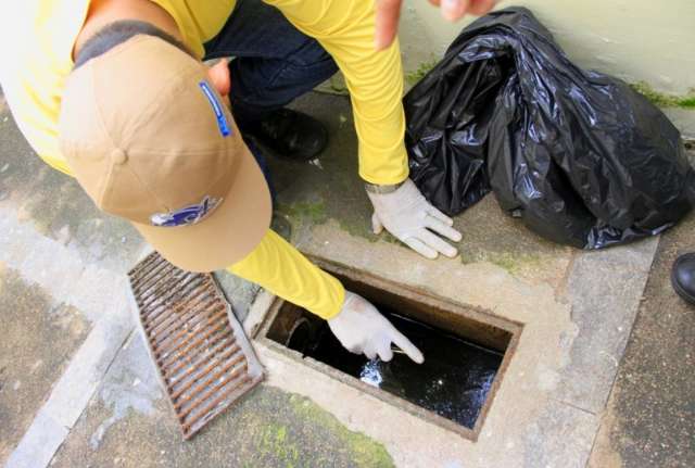 Focos de mosquito est&atilde;o em 90% das casas e cidade est&aacute; em alerta