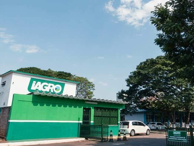 Status de aftosa sem vacinação exige investimento em estrutura e servidor