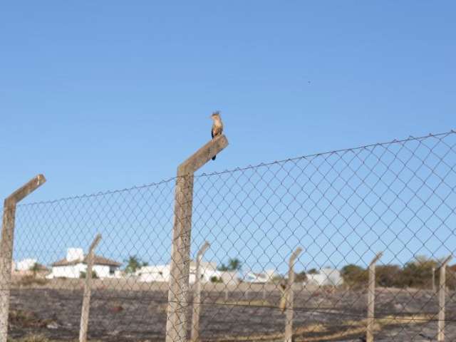 Frente fria chega s&aacute;bado e derruba temperaturas para 8&ordm;C na regi&atilde;o sul