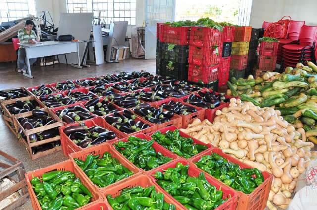  Prefeitura de Dourados vai distribuir 2 toneladas de alimentos por semana