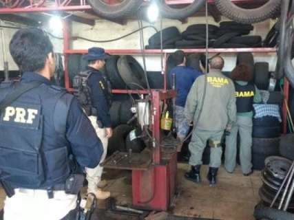Operação apreendeu mais 3.8 mil pneus importados em MS 