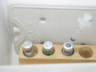 Doses de vacina armazenadas em refrigeração (Foto: Paulo Francis/Arquivo)