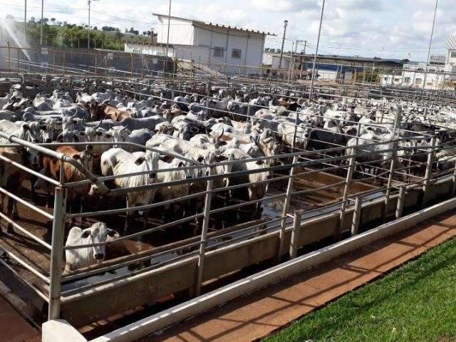 JBS demite 600 funcion&aacute;rios de frigor&iacute;fico desativado em MS