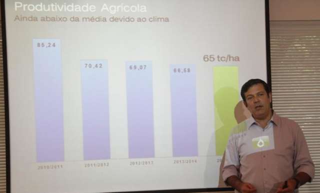 &Aacute;rea cresce 11,6%, mas geada freia aumento na produ&ccedil;&atilde;o de cana em MS