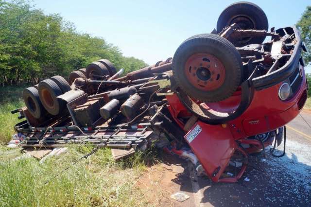 Motorista tenta desviar de tamandu&aacute;, mas acaba capotando caminh&atilde;o