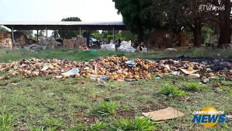 Moradores denunciam descarte irregular de frutas e verduras em terreno