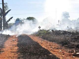  Inc&ecirc;ndio queima seis hectares de &aacute;rea verde ao lado de horta