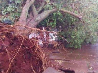 Chove em v&aacute;rias regi&otilde;es de MS e cidade registra vento de 70,2 km/h 