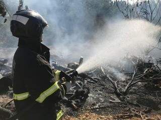 Bombeiros atenderam a 17 ocorrências de incêndio em vegetação durante a manhã e tarde desta terça-feira. (Foto: Ronie Cruz/Arquivo)