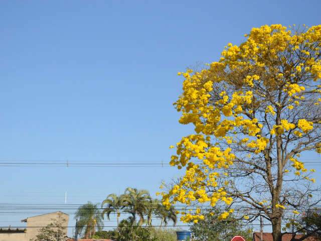  Dia come&ccedil;a com umidade a 40% e calor de 25&ordm;C em Campo Grande