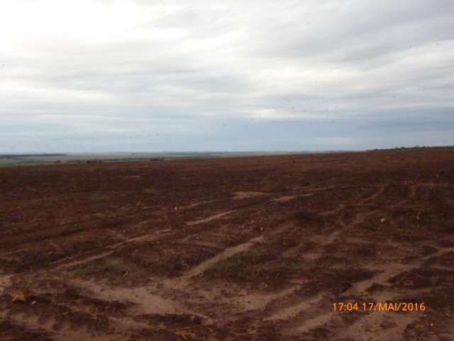 Desmatamentos identificados por sat&eacute;lite resultam em R$ 448 mil em multas