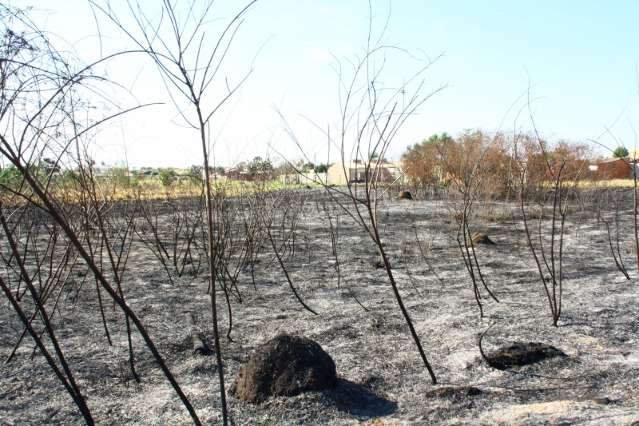 Campo Grande ter&aacute; Brigada para combate a inc&ecirc;ndios em parques  