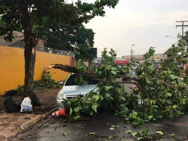 Chuva chega com ventos de at&eacute; 87km/h e destelha casas em 2 cidades