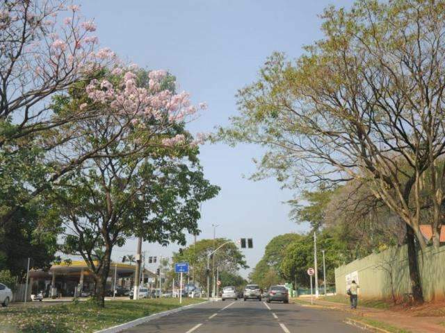 Calor&atilde;o d&aacute; tr&eacute;gua no fim de semana com previs&atilde;o de chuva em MS
