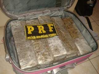 A droga foi encontrada escondida dentro de uma mala de viagem. (Foto: Sidney Assis)