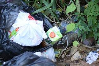 O lixo tomou conta do matagal que fica atrás da empresa (Foto: Cleber Gellio)