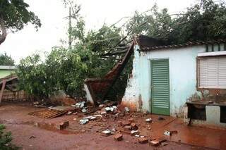 Árvore caiu sobre residência de aposentado durante a madrugada (Foto: Marcos Ermínio)