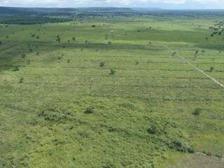 Área desmatada ilegalmente no município de Sonora (Foto: Divulgação PMA)