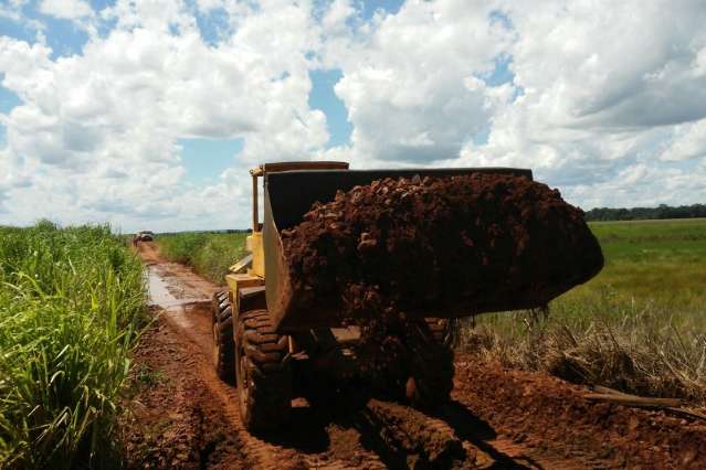 Pequenos produtores amargam preju&iacute;zos que chegam a R$ 10 milh&otilde;es