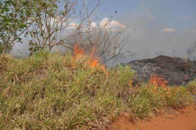 Quente e seco, outubro tem recorde de ocorr&ecirc;ncia de queimadas em MS