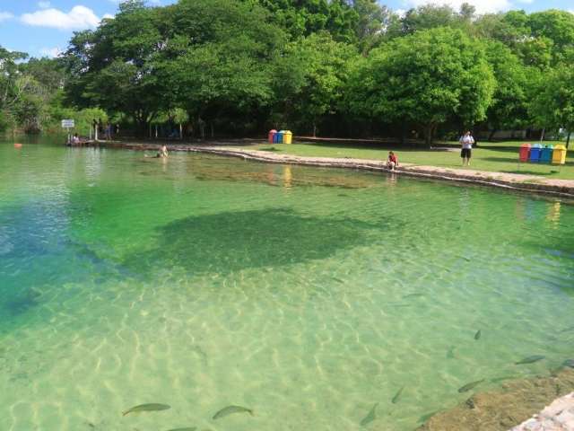 Principal de Bonito, Rio Formoso também tem lama acima do normal