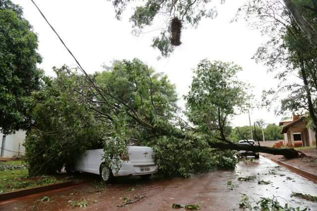 Rajadas de vento chegaram a 61 km/h durante temporal com chuva r&aacute;pida 
