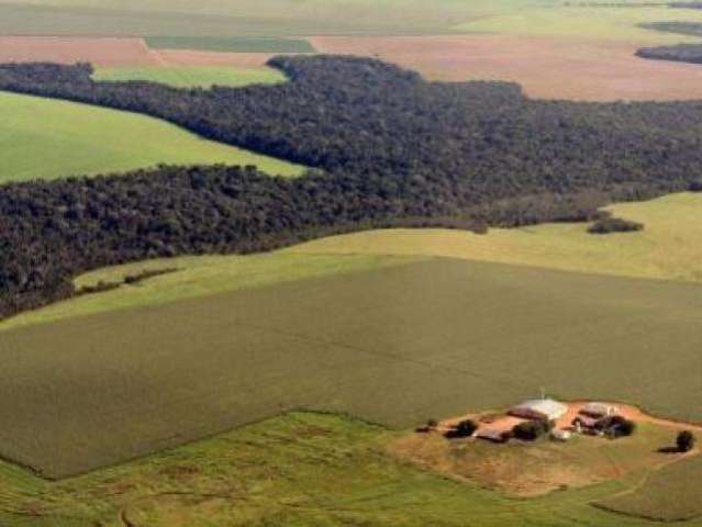 Produtores rurais de MS t&ecirc;m d&iacute;vida de R$ 250 milh&otilde;es &agrave; Uni&atilde;o relativos ao ITR