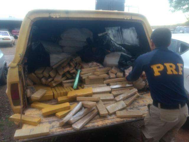 Com ajuda de c&atilde;es farejadores, PRF apreende 1 t de maconha em ve&iacute;culo 