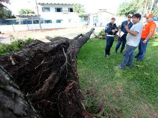 Técnicos da Prefeitura estiveram no local para retirar a árvore