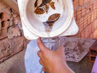 Foco com larvas de mosquito encontrada em residência abandonada no Guanandi. (Foto: Kísie Ainoã)