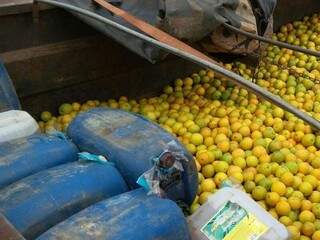 Combustível foi encontrado em meio a carga de laranja (Foto: divulgação/PRF) 