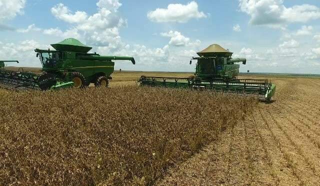 Clima &eacute; favor&aacute;vel e 96% das lavouras de soja em MS j&aacute; foram colhidas
