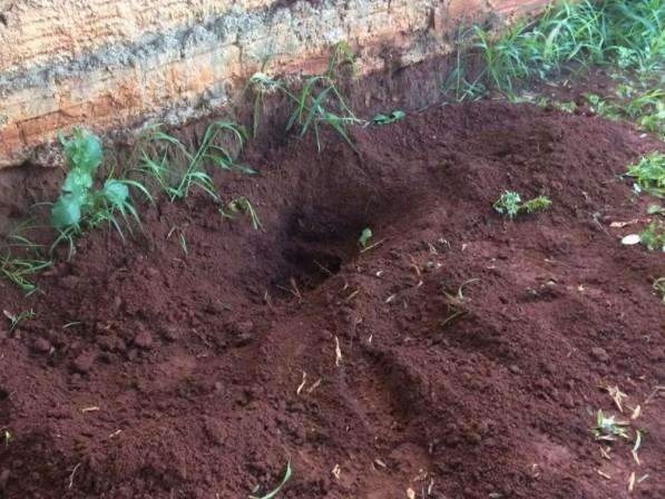 M&atilde;e de adolescente que praticou aborto e enfermeira s&atilde;o presas