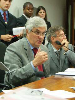 Senador Delcídio do Amaral fala durante audiência do CAE (Comissão de Assuntos Econômicos). (Foto: Divulgação) 