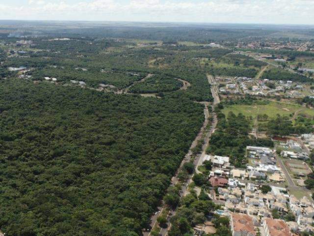 Presidente do TJ derruba liminar que vetou desmate no Parque dos Poderes