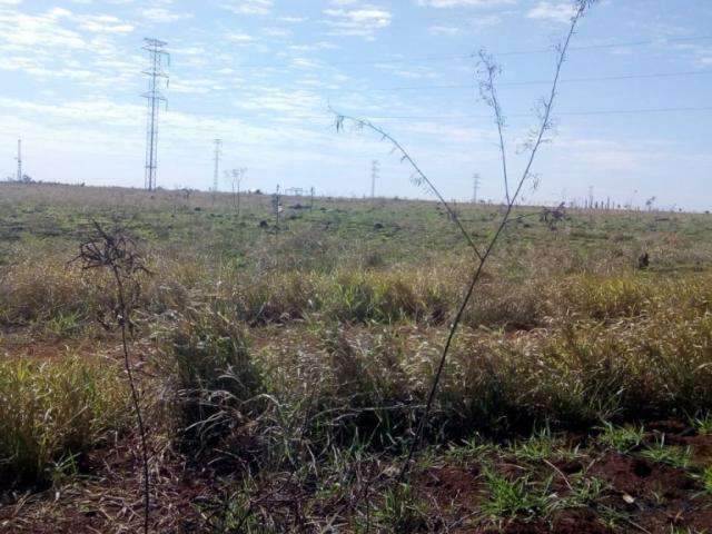 &Iacute;ndios ampliam invas&otilde;es e moradores temem perder at&eacute; casas na cidade
