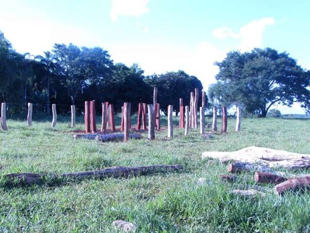 Propriet&aacute;rio rural &eacute; multado em R$ 5,1 mil por explora&ccedil;&atilde;o ilegal de madeira